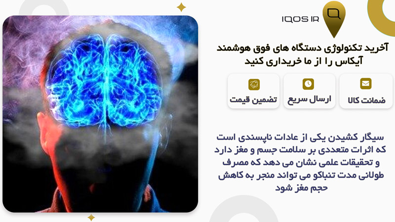 آیا سیگار کشیدن باعث کوچک شدن مغز می شود